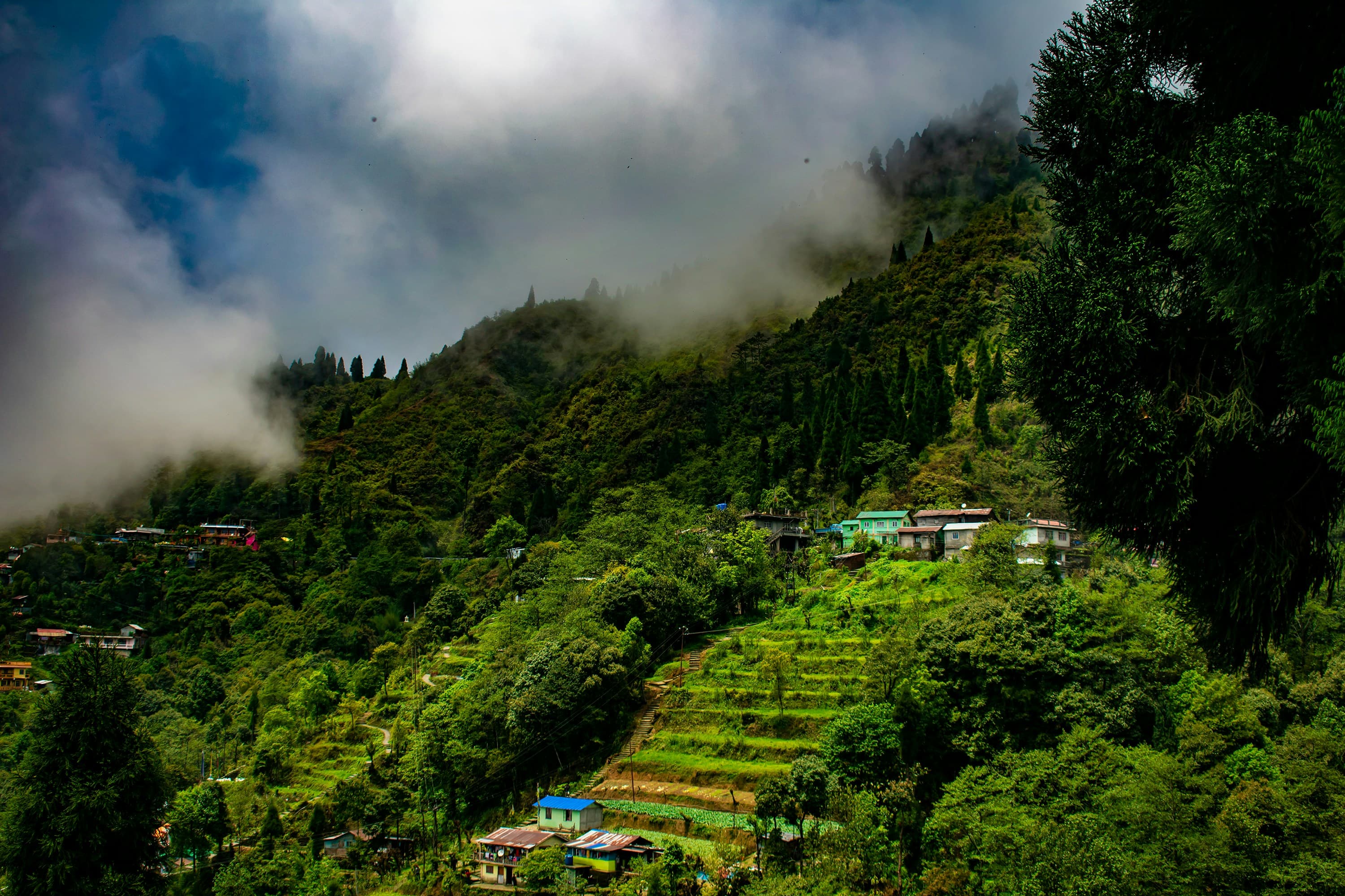 Darjeeling